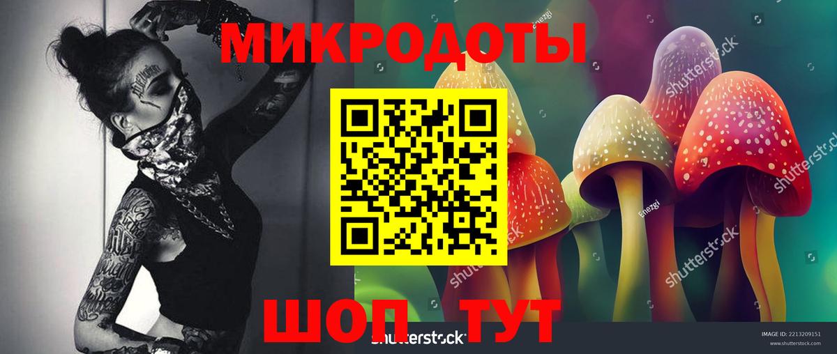 Галлюциногенные грибы MAGIC MUSHROOMS Усть-Илимск